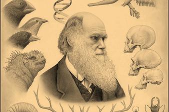 L’evoluzione della vita: la teoria di Charles Darwin