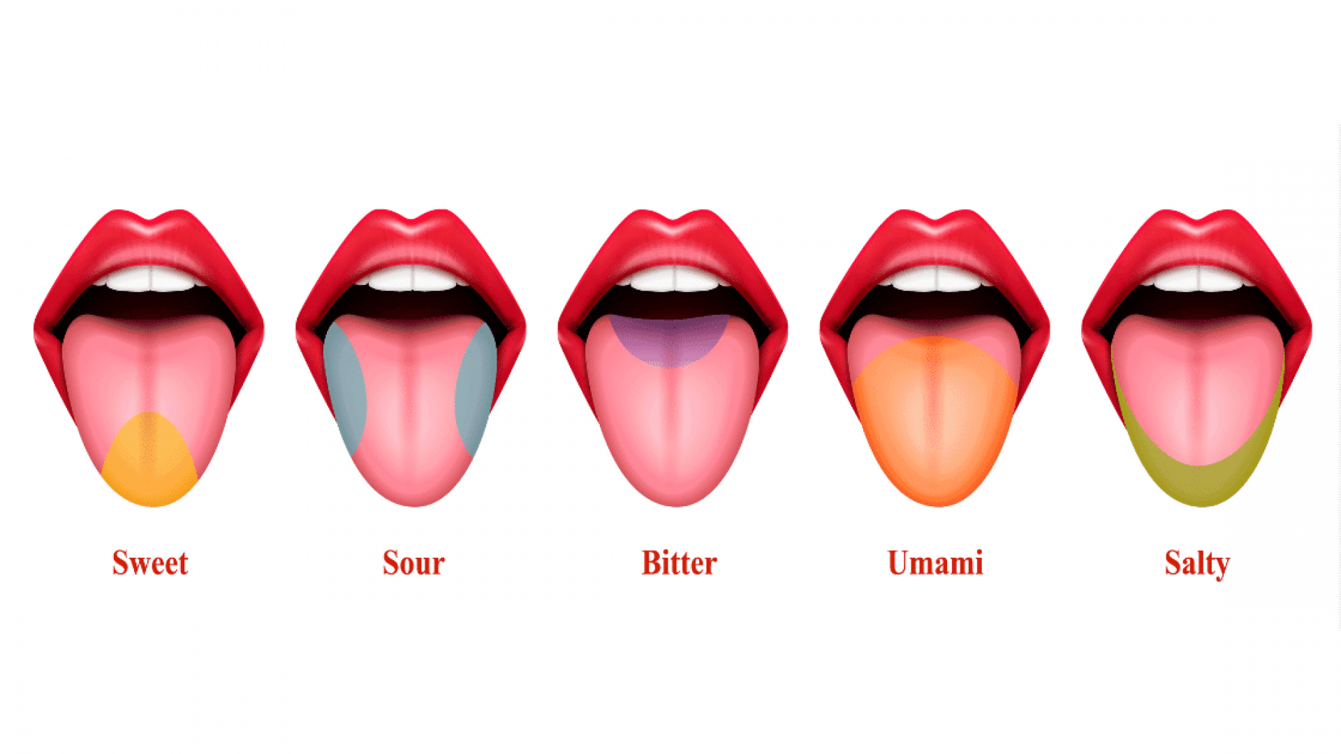 Acido, aspro o dolce? Un nuovo lessico per descrizioni sensoriali più accurate