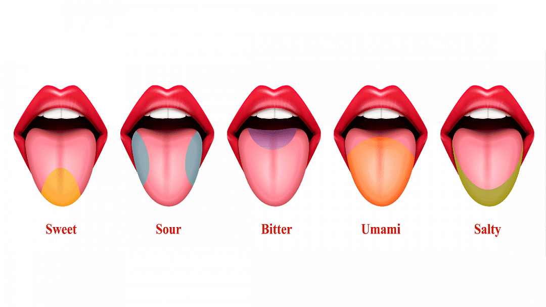 Acido, aspro o dolce? Un nuovo lessico per descrizioni sensoriali più accurate