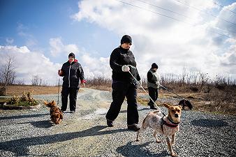 Weward e Save The Dogs camminano insieme per aiutare i cani dei senza dimora