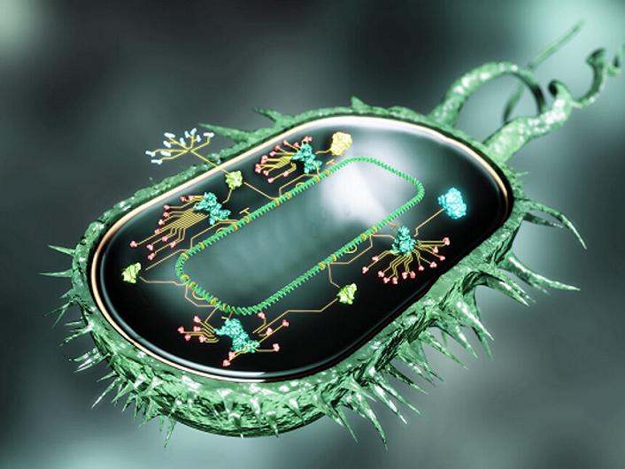 La biologia sintetica: la sfida etica della creazione di vita artificiale e le sue potenzialità di applicazione