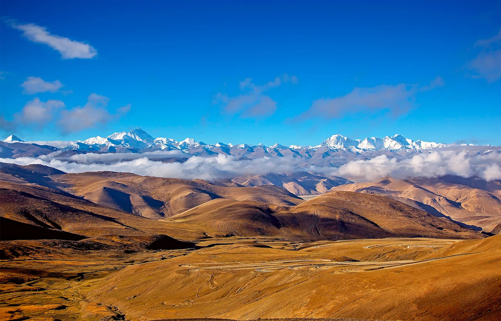 mongolian plateau        
        <figure class=