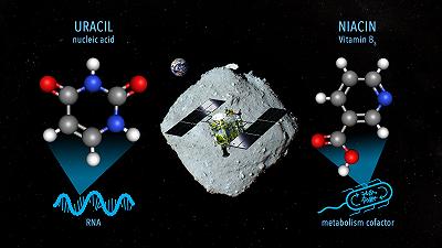 Campioni di Ryugu: rilevata presenza di uracile e vitamina B3