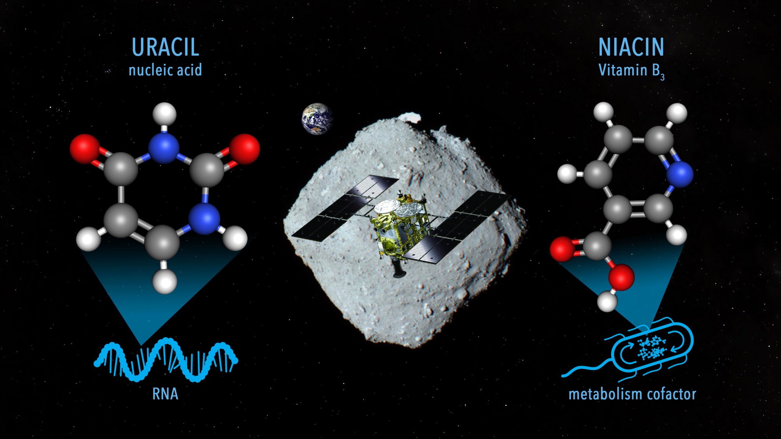 Campioni di Ryugu: rilevata presenza di uracile e vitamina B3