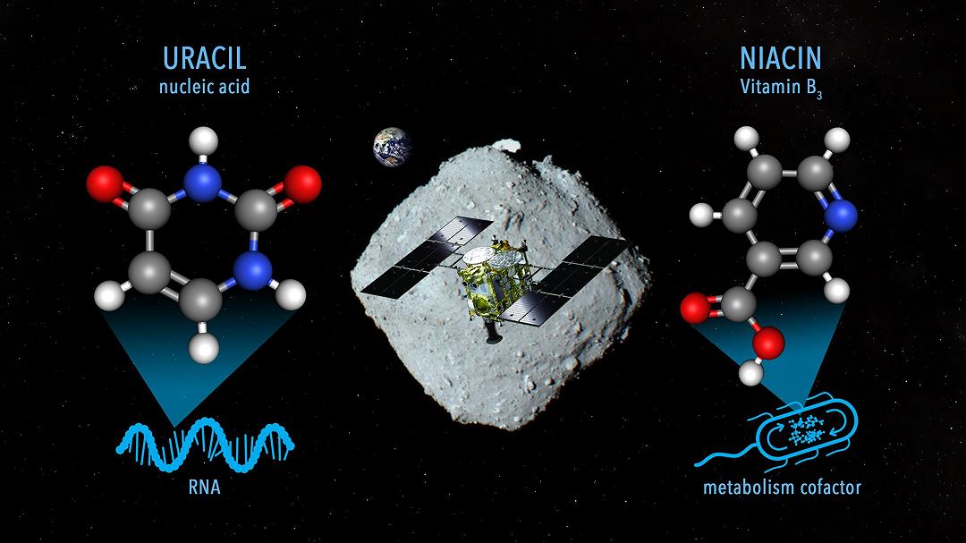 Campioni di Ryugu: rilevata presenza di uracile e vitamina B3