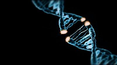 Nuovo biosensore sviluppato per la rilevazione in tempo reale dei danni al DNA