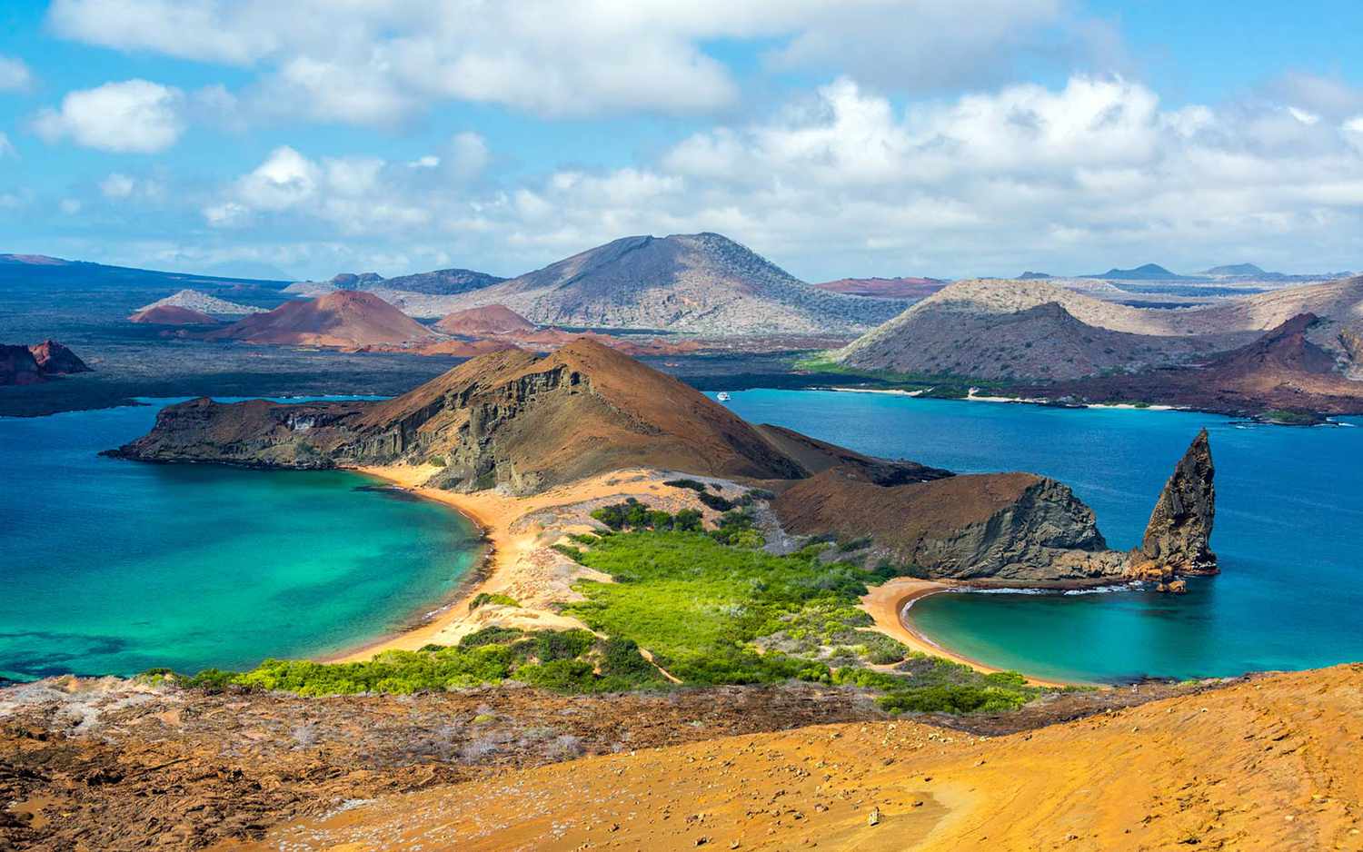 Quello che Darwin non riuscì a vedere: una spedizione per scoprire la vita invisibile nelle Galápagos