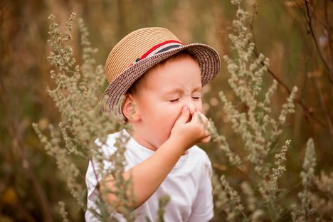 Primo atlante delle allergie in Europa. Identificate diverse differenze regionali