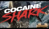 Cocaine Shark