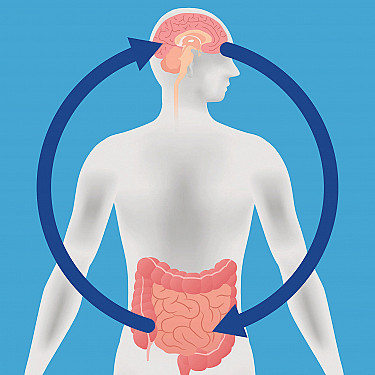 La relazione tra cellule immunitarie dell’intestino e la depressione