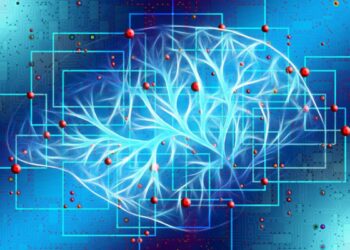 Rete neurale dell’ippocampo umano: realizzato il primo modello 3D