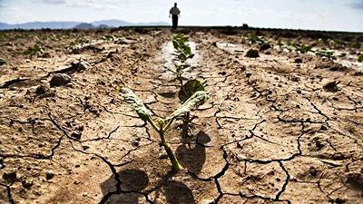 Agrifood Forum 2023: la risposta alla siccità in agricoltura