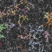 Rete cosmica: una simulazione 3D mostra l’universo neoimpressionista