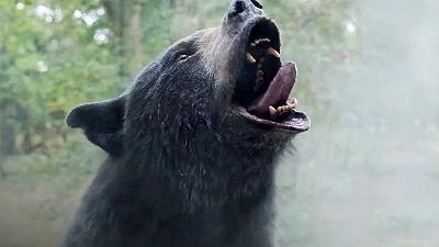 Cocainorso, la recensione: l’orso nero è il più pacifico tra i suoi simili
