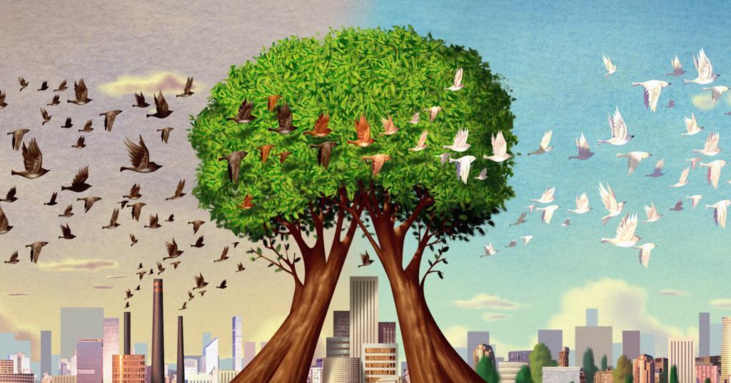 Alberi purificatori dell’aria urbana: uno studio analizza quali sono i migliori