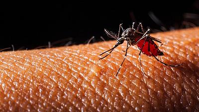 Donna britannica infettata dalla dengue nel sud della Francia