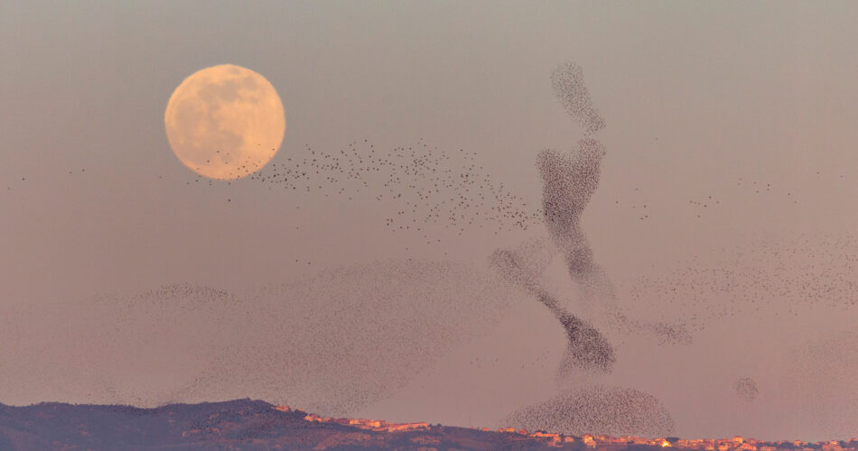 Il giorno di Pasqua si decide grazie alla Luna