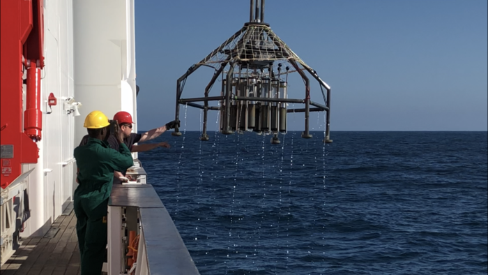 Trovata tossina ambientale in una fossa marina molto profonda