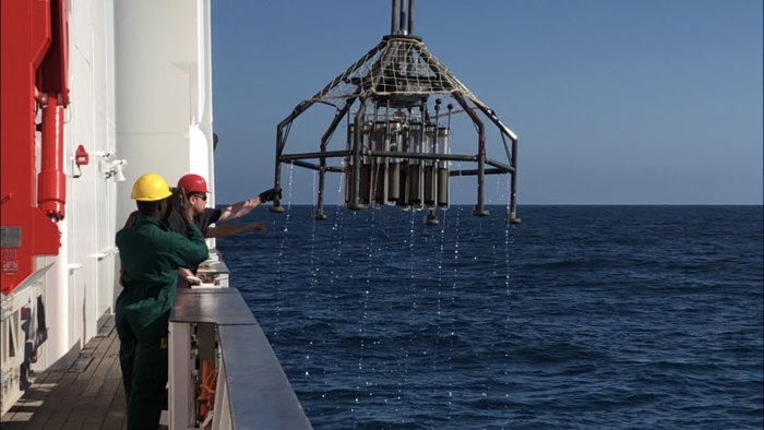 Trovata tossina ambientale in una fossa marina molto profonda