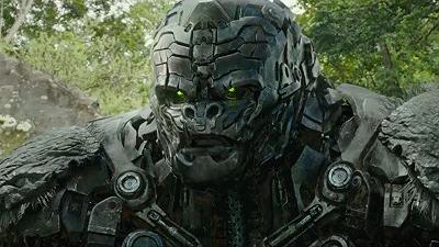 Transformers – Il Risveglio: il produttore lo presenta come un film diverso dalla saga di Michael Bay