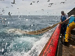 Gli Stati Uniti tagliano i sussidi che contribuiscono alla pesca eccessiva
