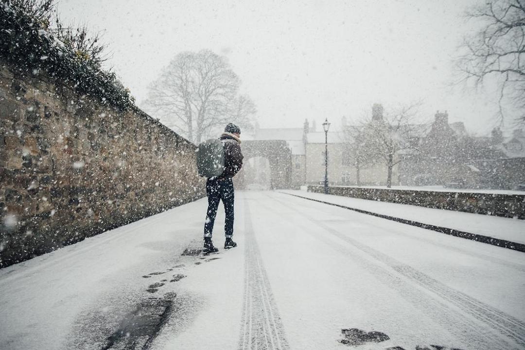 Le temperature fredde sembrano avere un effetto misterioso sulla longevità