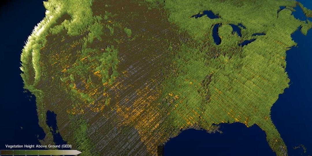 Foreste antiche: il monitoraggio è effettuato dallo spazio