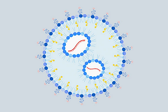 Le nanoparticelle per prevenire e trattare le allergie alle arachidi
