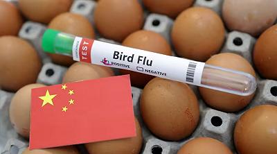 La Cina registra il primo decesso umano per influenza aviaria H3N8