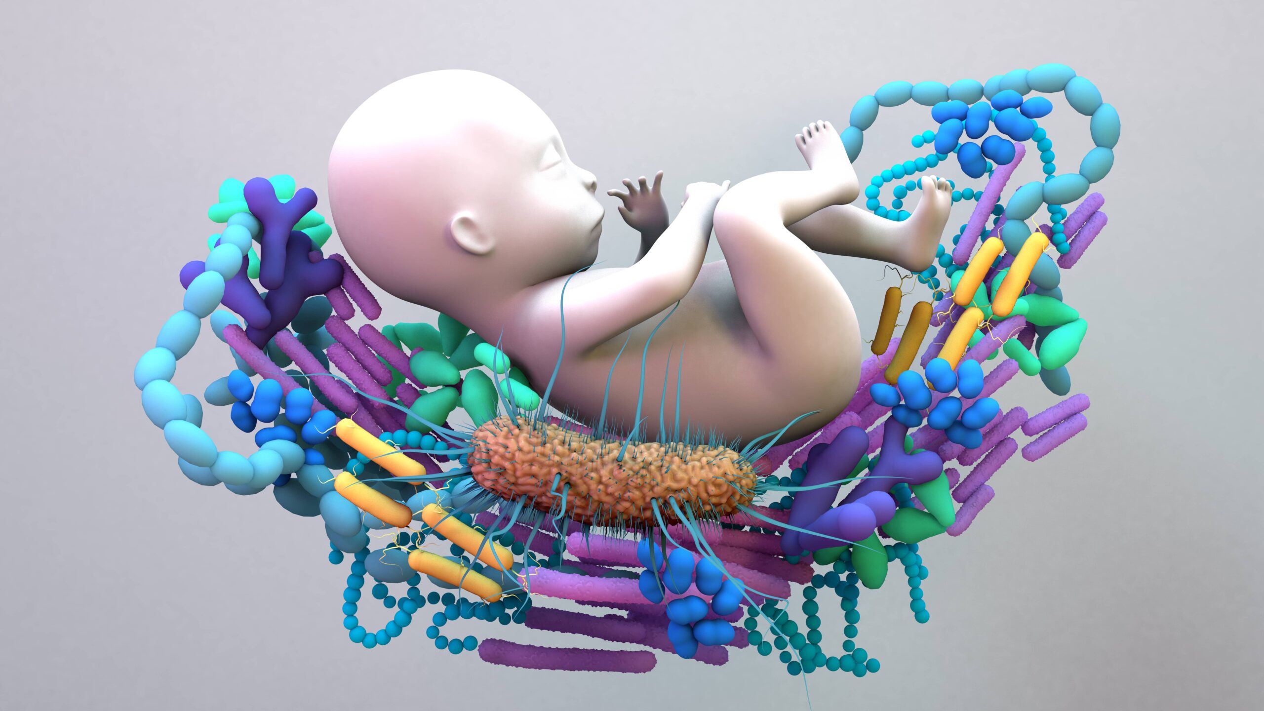 I dettagli sui cambiamenti del microbiota intestinale scoperti da uno studio italiano
