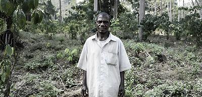 Deforestazione: un pericolo per i Pigmei Aka