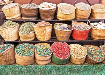 La biodiversità delle piante incontra la medicina popolare in Marocco