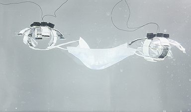 Jellyfish-Bot: il robot subacqueo che potrebbe ripulire gli oceani di tutto il mondo