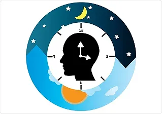I ricercatori hanno studiato un orologio circadiano in tempo reale