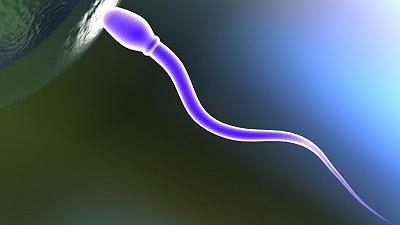 Identificato un nuovo bersaglio genetico per la contraccezione maschile