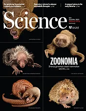 Zoonomia: il progetto che rivela le affinità genetiche tra l’uomo e gli altri mammiferi