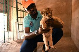 Salih: l’uomo che salva gli animali selvatici mentre Khartoum brucia