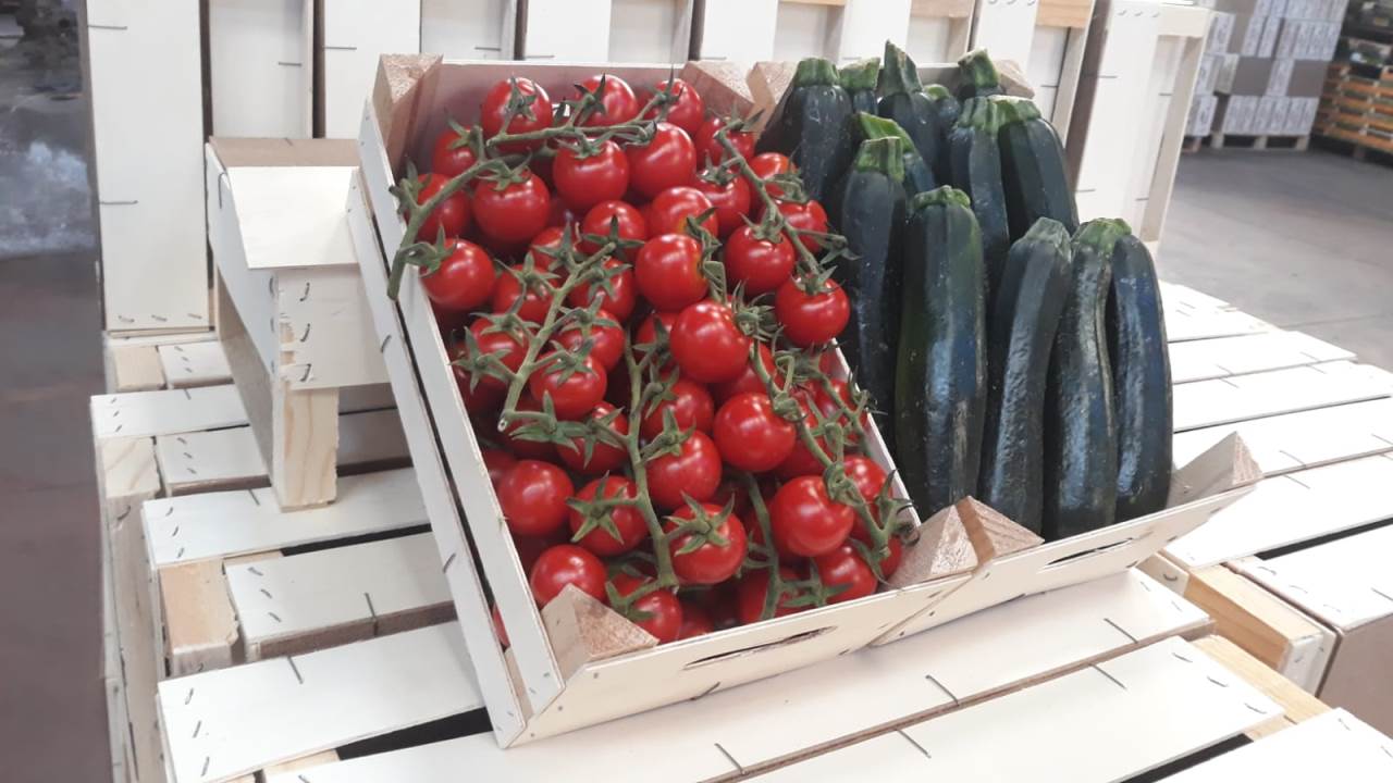 Imballaggi in legno: Assoimballaggi approva le linee guida dell’ISS