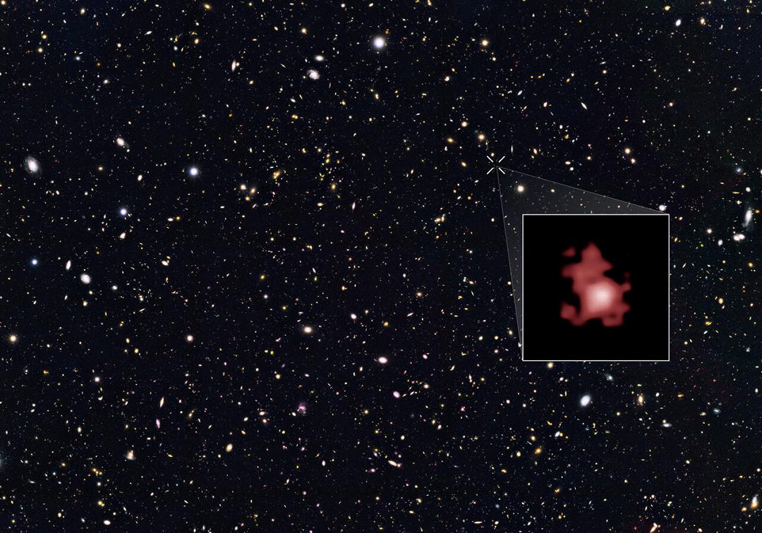Scoperte delle stelle che fanno sembrare il nostro Sole insignificante