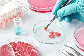 Carne coltivata: studio evidenzia il potenziale impatto ambientale e la necessità di ulteriori analisi