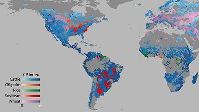 Il conflitto fra agricoltura e biodiversità: la mappa 3D degli alimenti responsabili