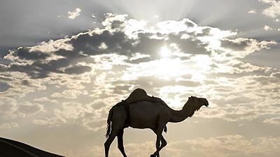 Cure sanitarie: viaggia per sette ore su un cammello per dare alla luce suo figlio