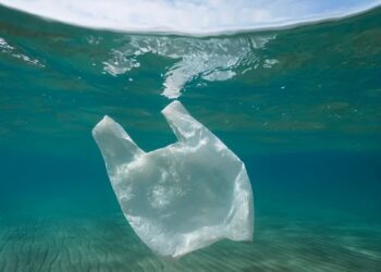 Inquinamento da plastica: accordo dell'UNEP