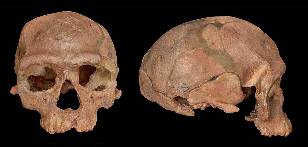 La storia dell’origine dell’Homo sapiens: nuove scoperte sulla nostra ascendenza africana