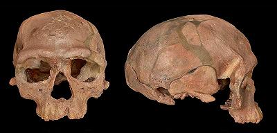 La storia dell’origine dell’Homo sapiens: nuove scoperte sulla nostra ascendenza africana