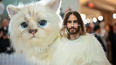 Jared Leto vestito da gatto al Met Gala ha conquistato il web