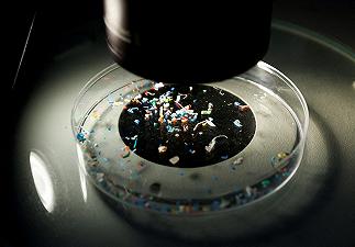 Nuovo metodo per stimare l’età delle microplastiche negli oceani: i risultati di una ricerca giapponese
