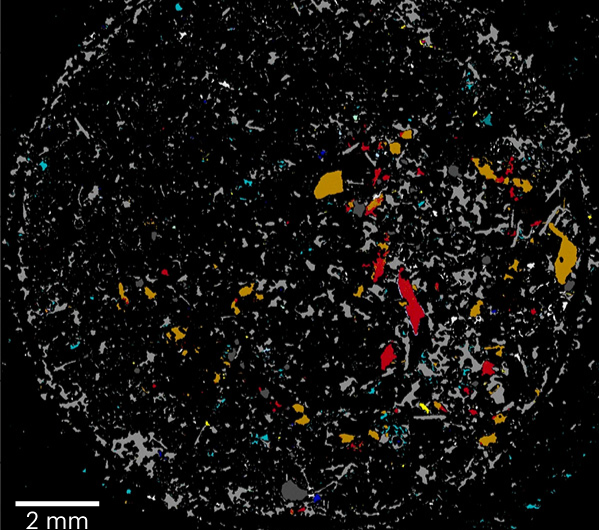 Un mondo di plastica: l’inquinamento da microplastiche fino ai poli terrestri