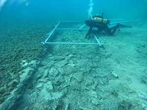 Gli scienziati hanno appena trovato una strada sotto il mar Adriatico