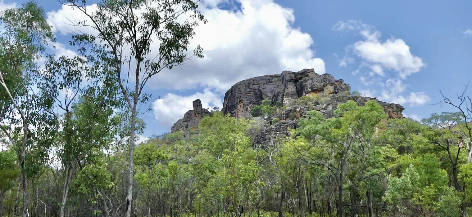 L’arte rupestre testimonia il cambiamento del paesaggio dell’Australia: gli archeologi indagano sulla Laguna del Giglio Rosso